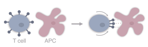 Screenshot 2024-06-05 at 14.24.09