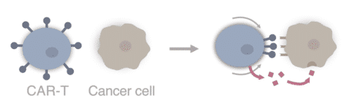 Screenshot 2024-06-05 at 14.24.26