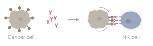 Screenshot 2024-06-05 at 14.25.08