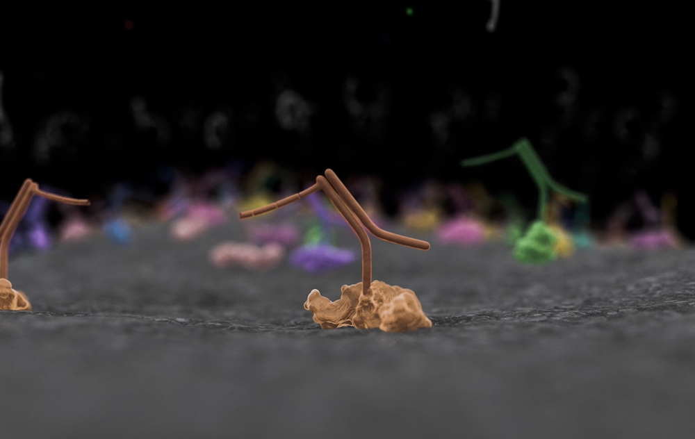 Screenshot 2025-02-21 134657