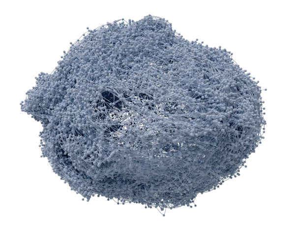 CellSixMarkedProteins_2 (0-00-00-04)