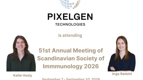 SSI 2026